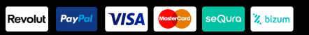 Visa, Mastercard, PayPal, Bizum, seQura y transferencia